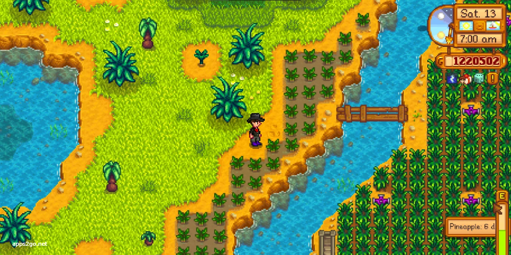 Stardew Valley Irrigation